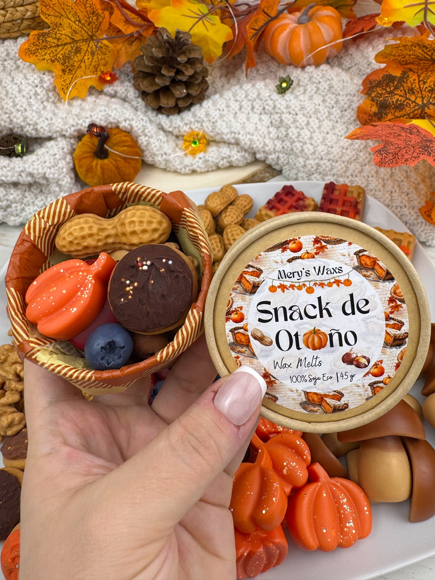 Wax Melts Snack de Otoño