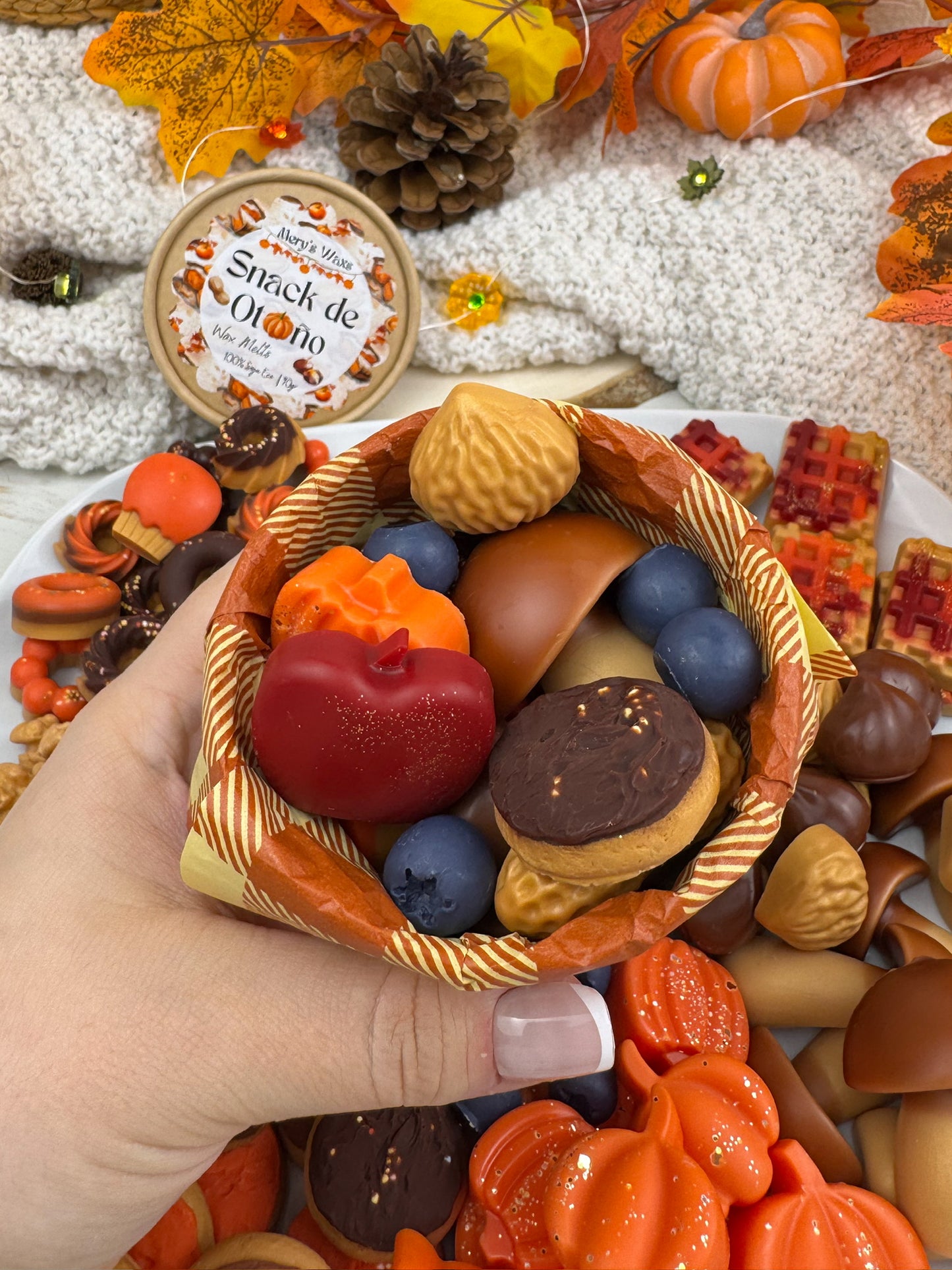 Wax Melts Snack de Otoño