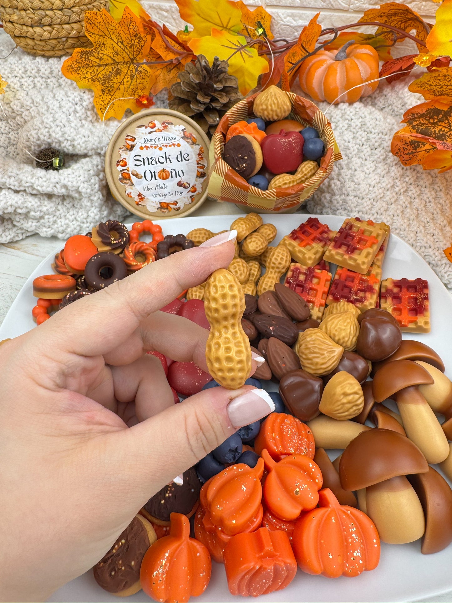 Wax Melts Snack de Otoño