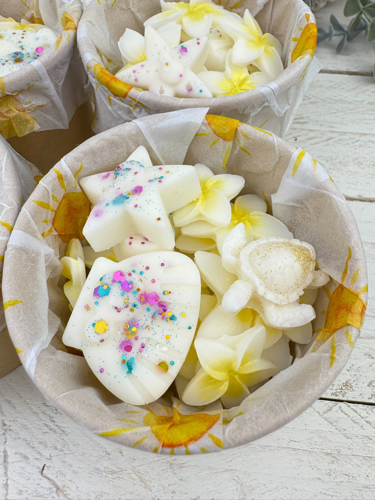 La estantería Secreta | Wax Melts Tortuga Beach