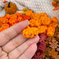 Wax Melts Otoño en colores