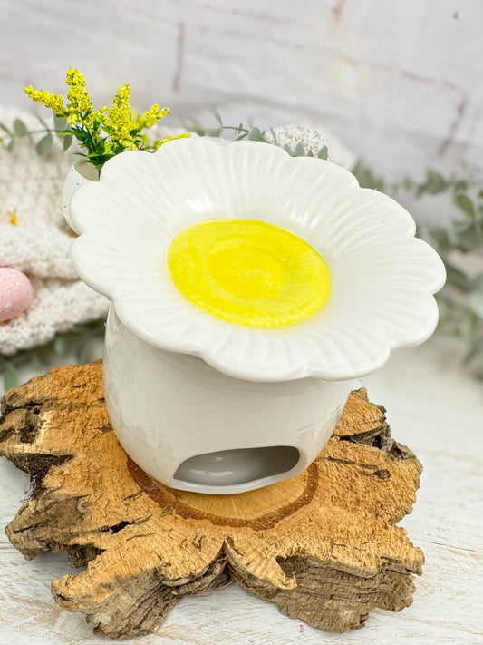 Quemador Daisy