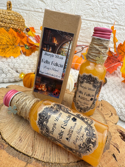 Mery's Potions | Felix Felicis