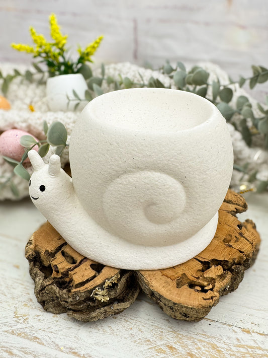 Quemador ¡Caracol, caracol!