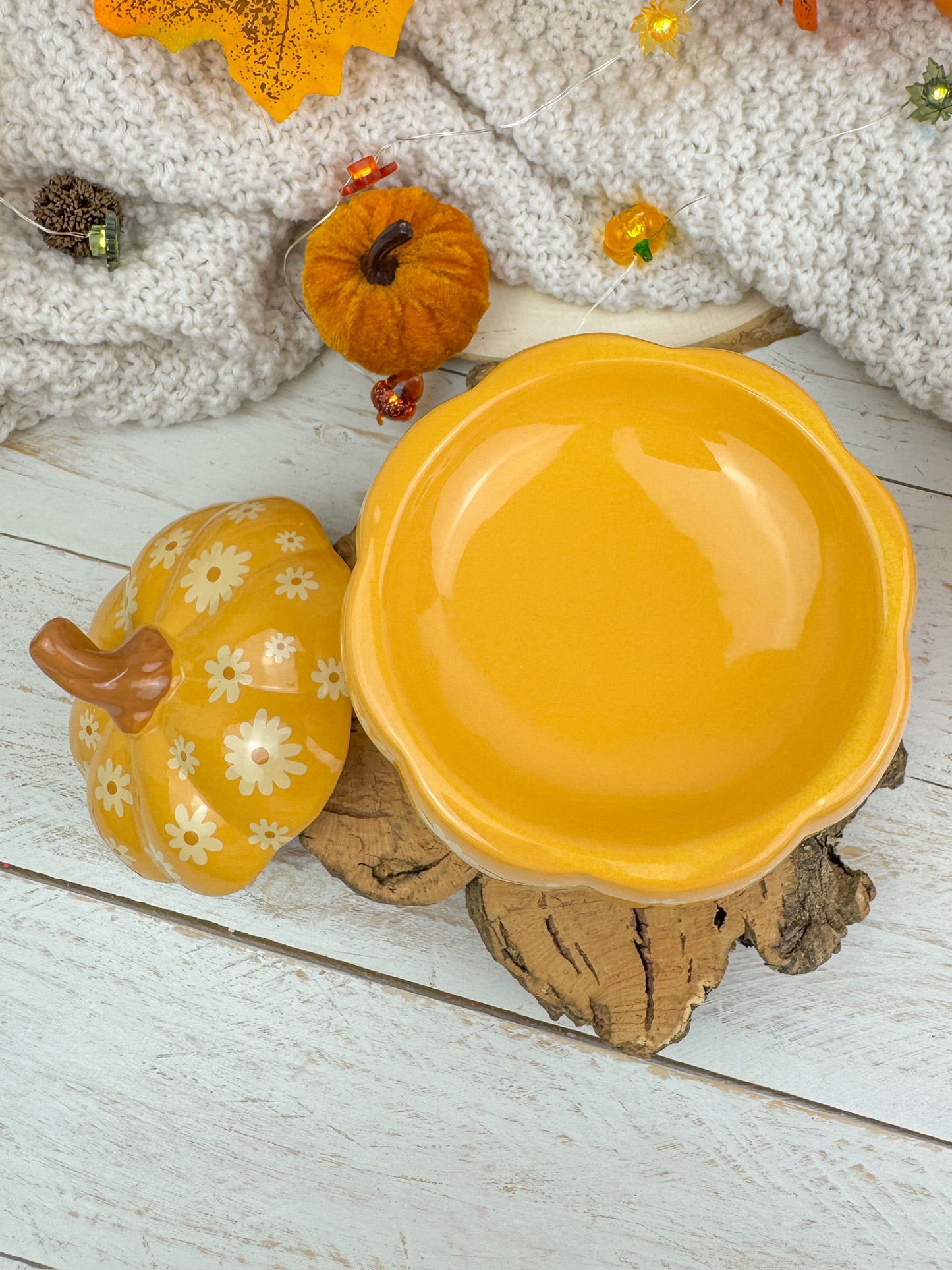 Quemador Calabaza Hechizada