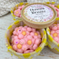 La Estanteria Secreta | Wax Melts Hanami Breeze