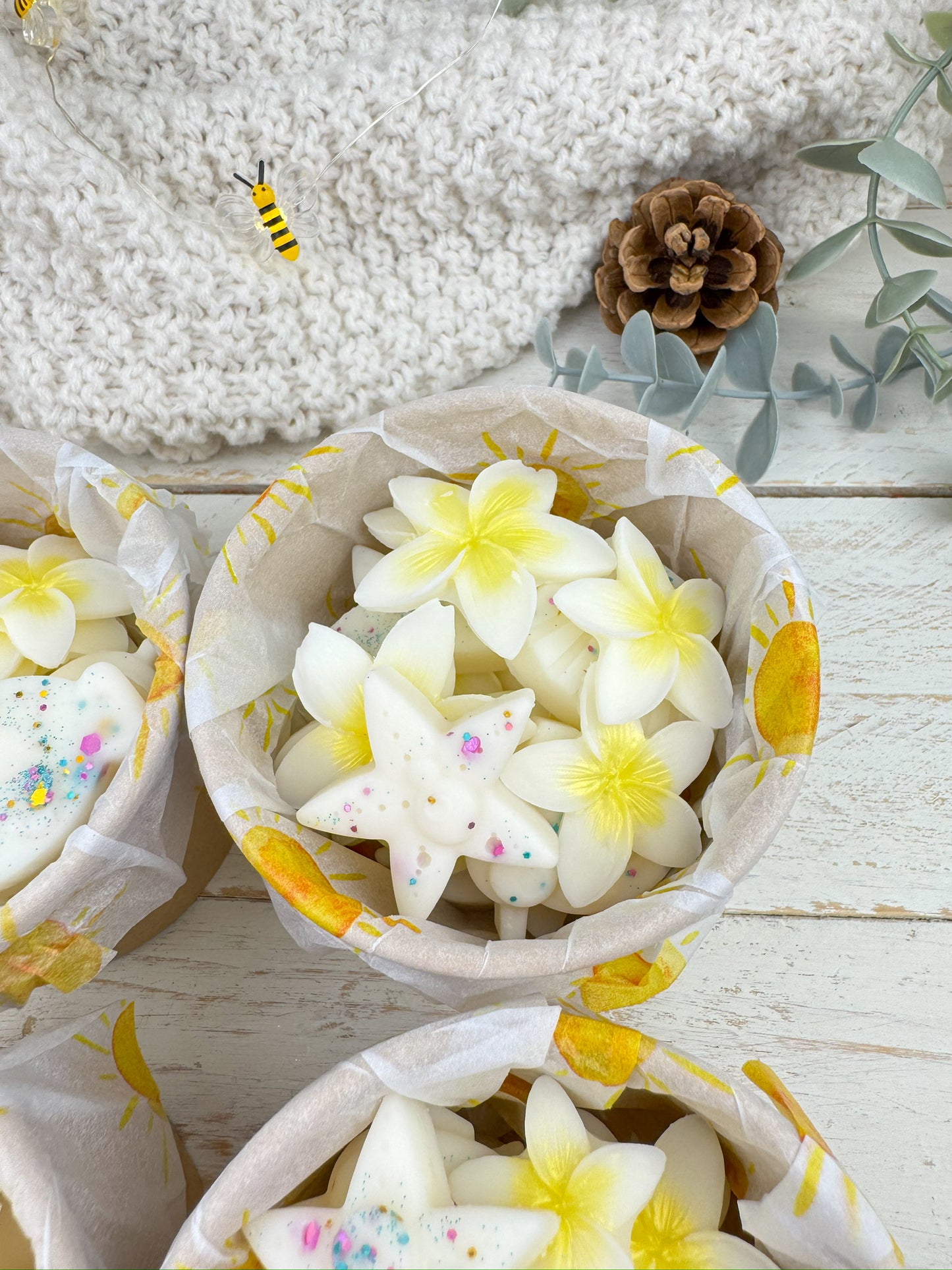 La estantería Secreta | Wax Melts Tortuga Beach