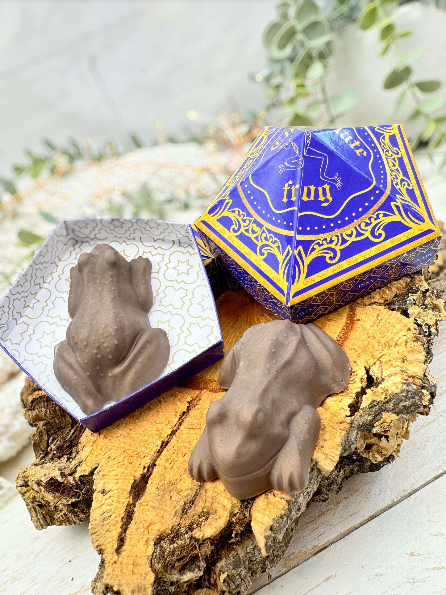 Rana de chocolate Harry Potter