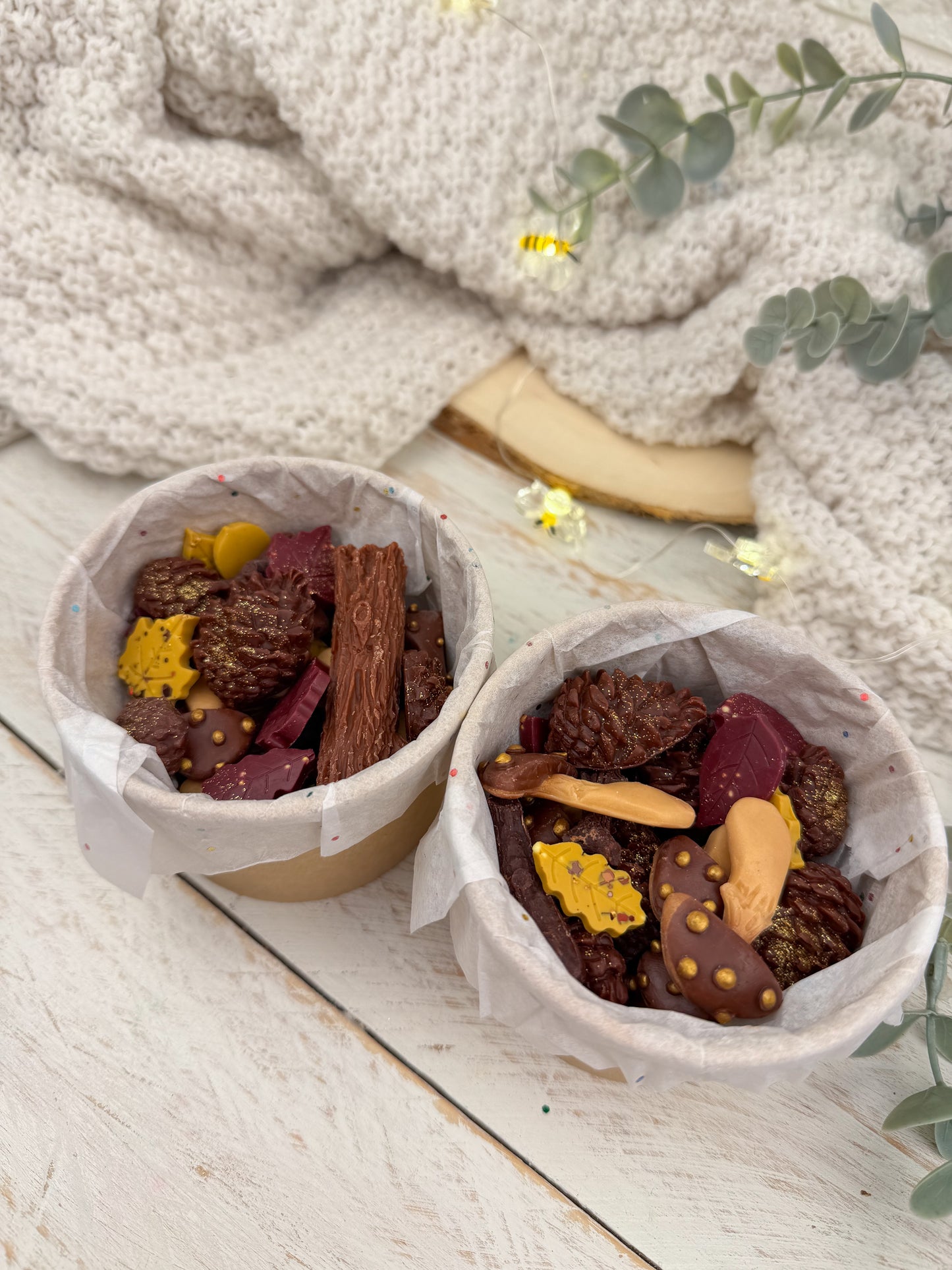 La Estantería Secreta | Bosque Mágico