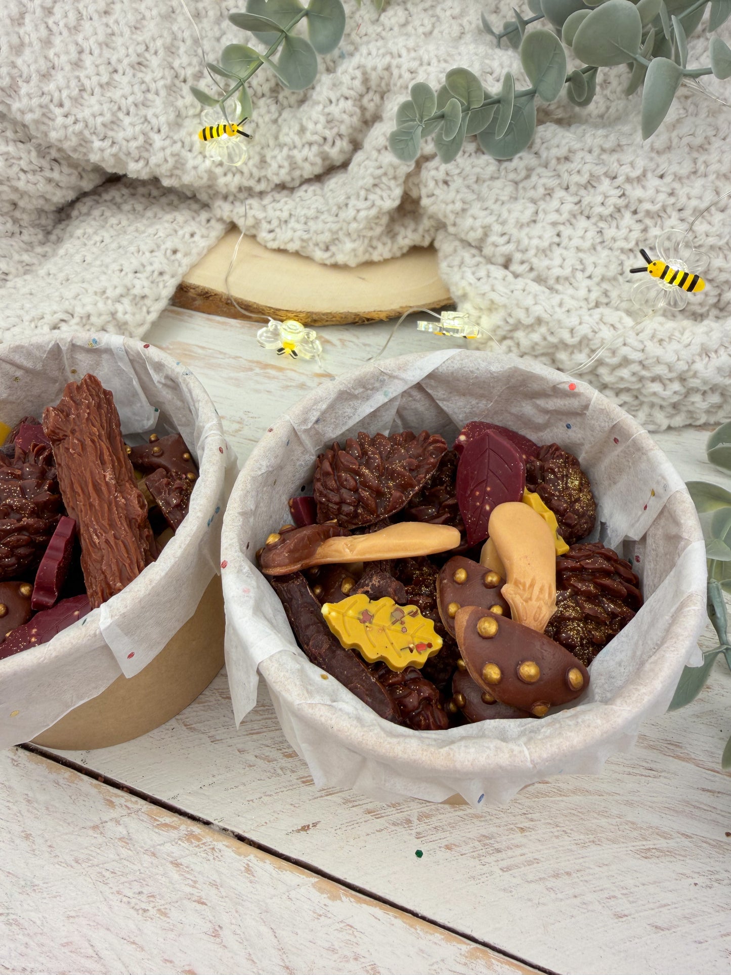 La Estantería Secreta | Bosque Mágico