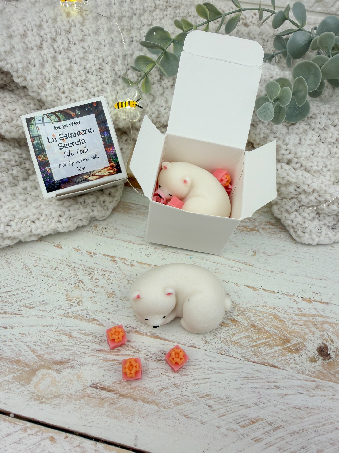 La Estantería Secreta | Polo Norte