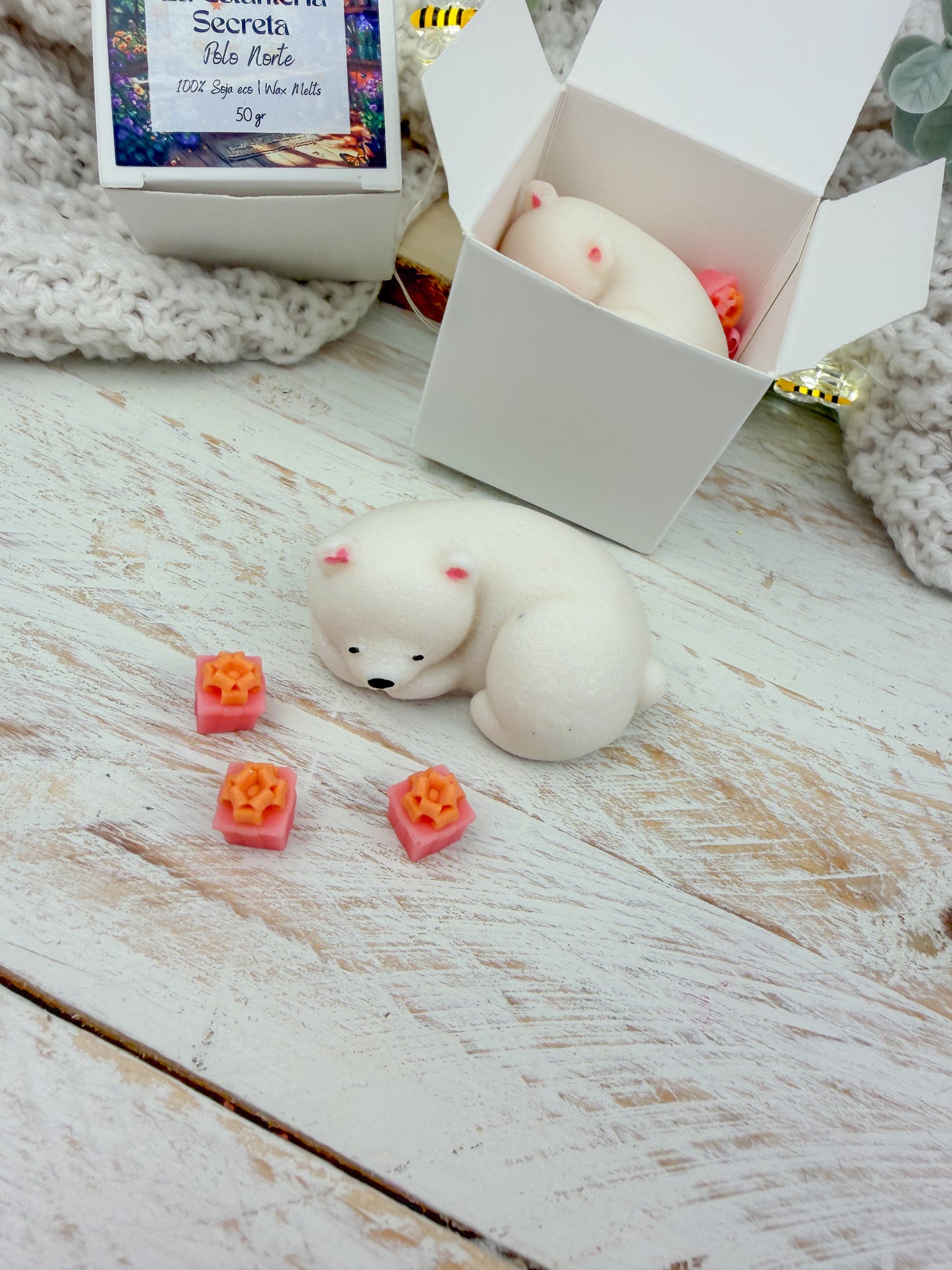 La Estantería Secreta | Polo Norte